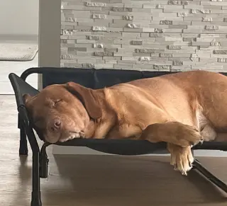 Ragnar