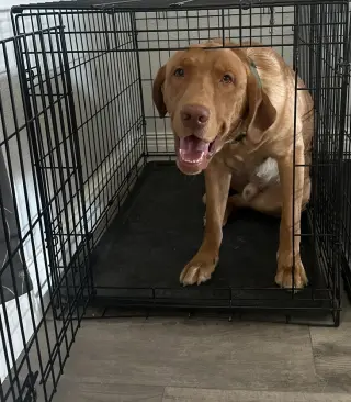 Ragnar
