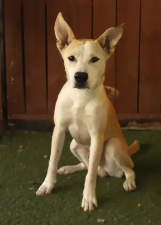 Handsome