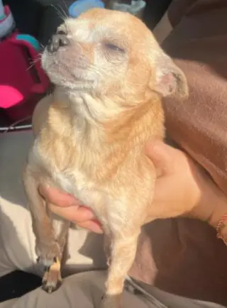 BARKO ANTONIO