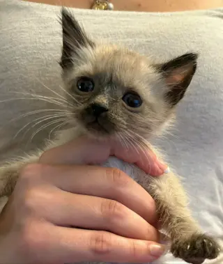 Monroe