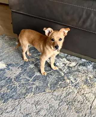 Nellie