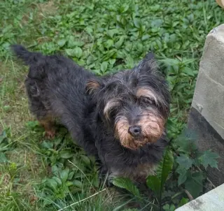Tuti