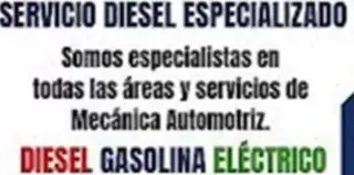 REGALALE a tu AUTO una PINTADA