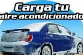REGALALE a tu AUTO una PINTADA