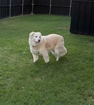 Molly