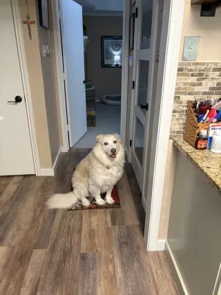 Molly