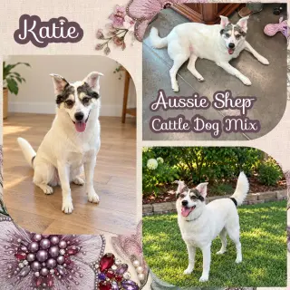 Katie