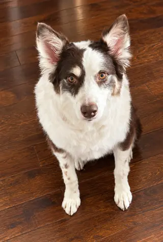 Copper