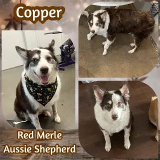 Copper