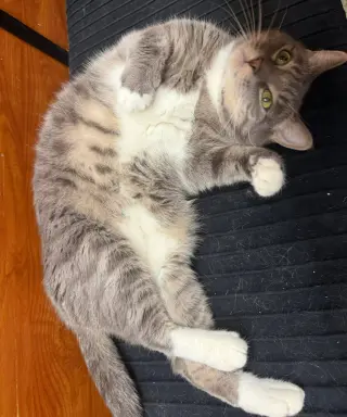 ISAAC