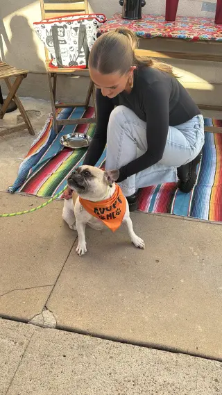 Petunia