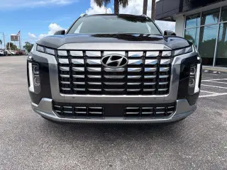 Hyundai PALISADE 2024 Calligraphy 4dr SUV