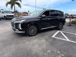 Hyundai PALISADE 2024 Calligraphy 4dr SUV