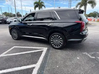 Hyundai PALISADE 2024 Calligraphy 4dr SUV