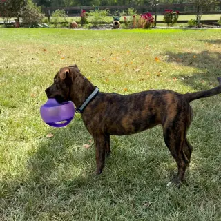 Zoey- total package