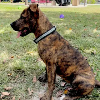 Zoey- total package