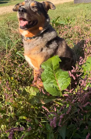 Autumn