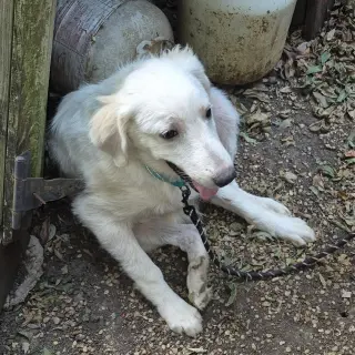 Jason