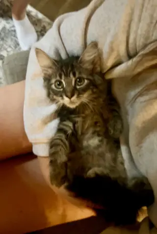 Robert
