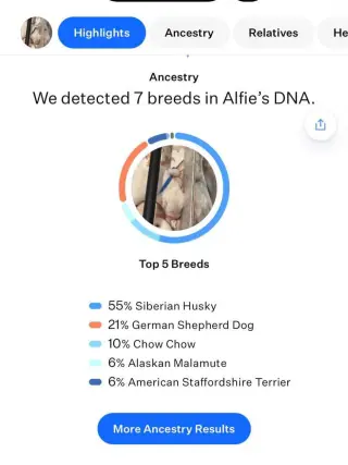 Kala