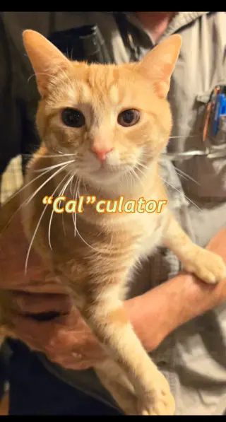 Calculator