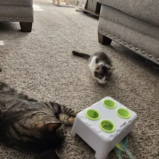 Precious