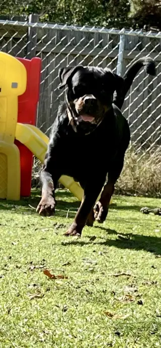 Bane