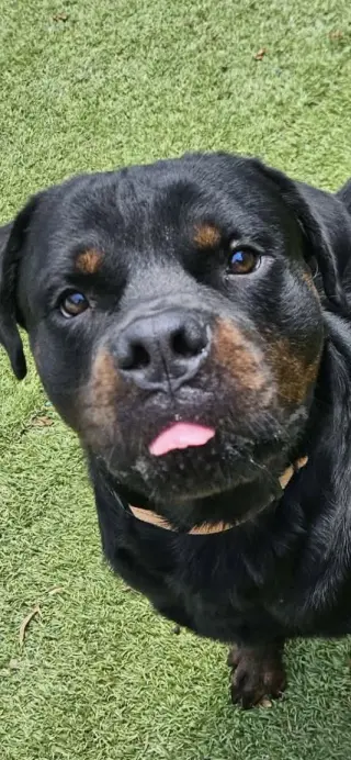 Bane