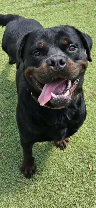 Bane