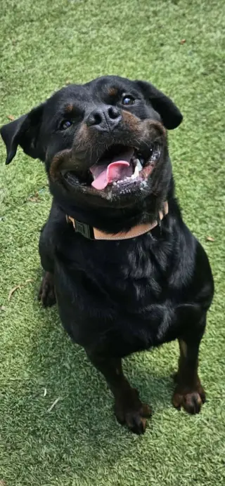 Bane