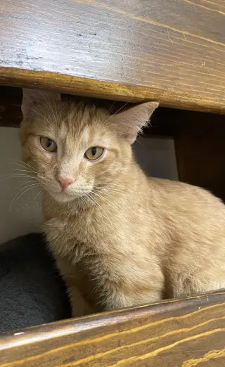 Fred