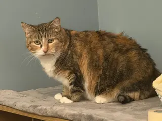 Ruthie (unique and so affectionate)