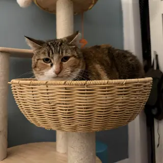 Ruthie (unique and so affectionate)