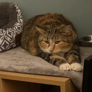 Ruthie (unique and so affectionate)