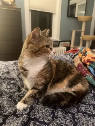 Ruthie (unique and so affectionate)