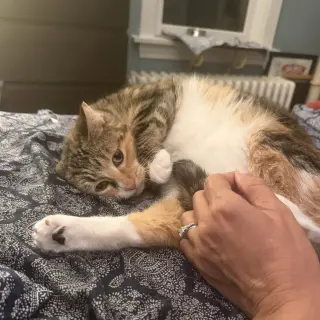Ruthie (unique and so affectionate)