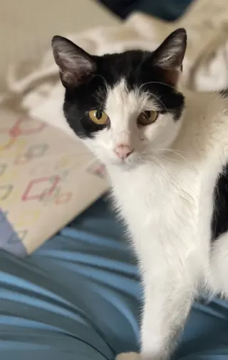 Clara