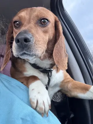 Sundae aka Sunni