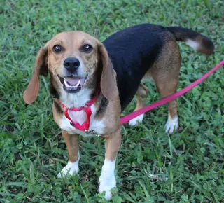 Sundae aka Sunni