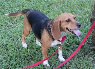 Sundae aka Sunni