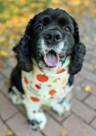 Molly