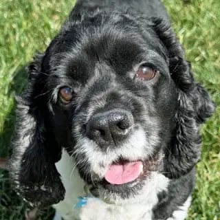 Molly