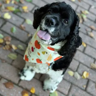 Molly