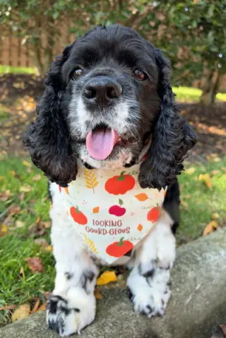 Molly