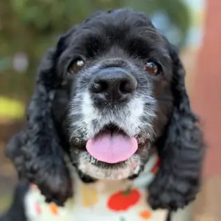 Molly