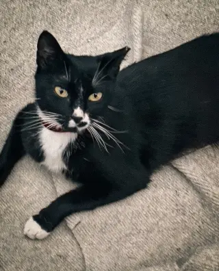 Abby
