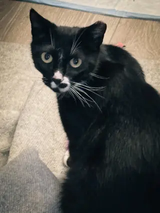 Abby