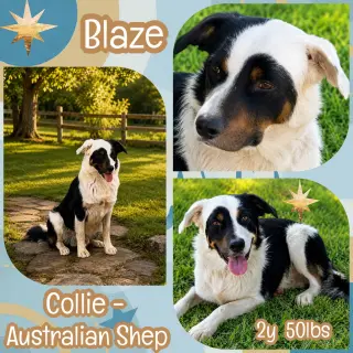 Blaze