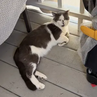 Grandpa (Courtesy Post)
